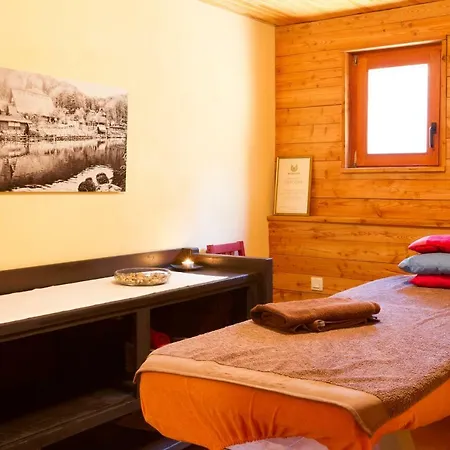 Apartment Chalet Il Fera Beau Demain *